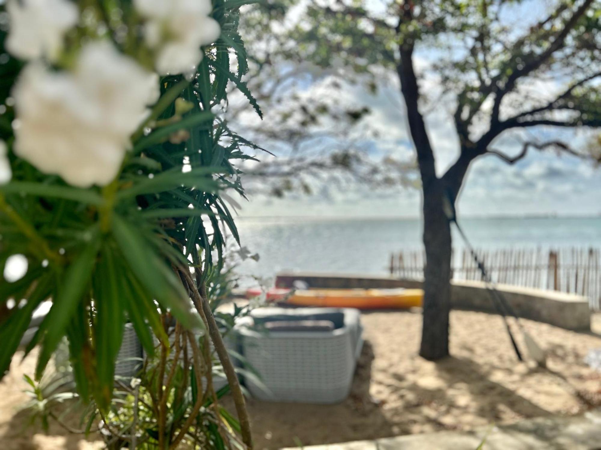 Arasi Resort 칼피티야 외부 사진