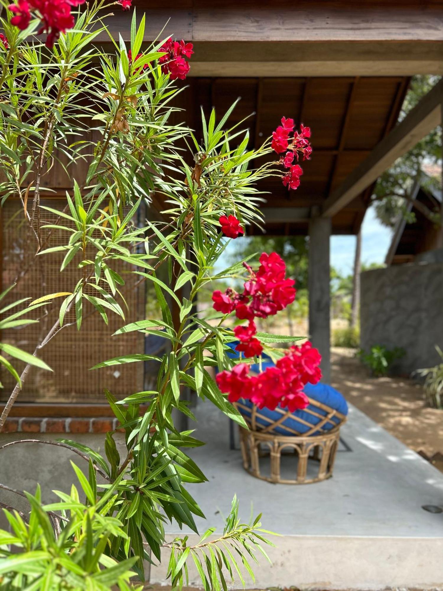 Arasi Resort 칼피티야 외부 사진